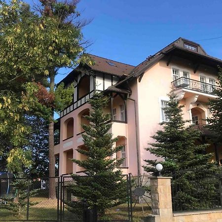 Villa Elizabeth Kudowa-Zdrój Exterior foto
