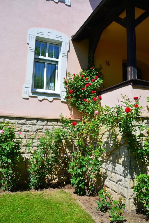 Villa Elizabeth Kudowa-Zdrój Exterior foto