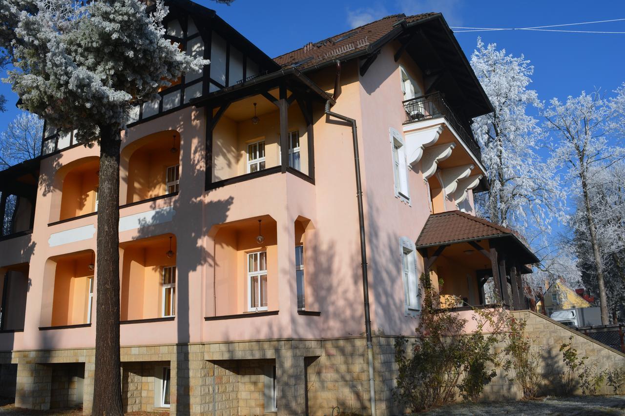 Villa Elizabeth Kudowa-Zdrój Exterior foto