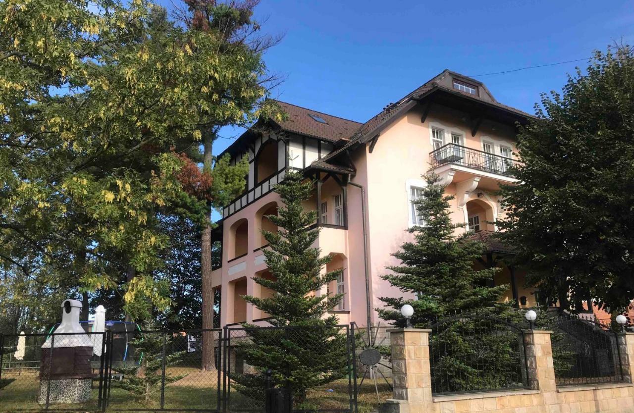 Villa Elizabeth Kudowa-Zdrój Exterior foto