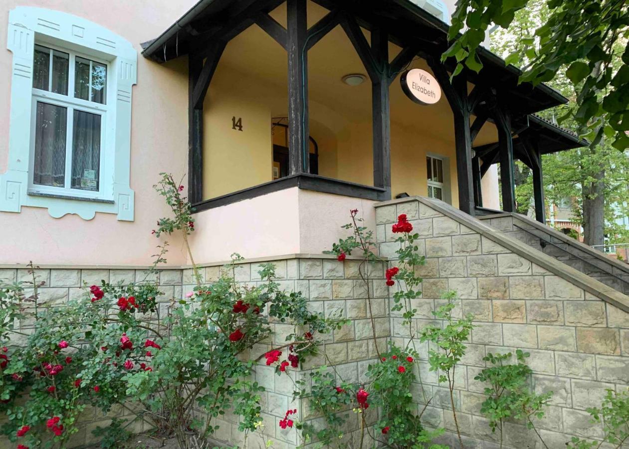 Villa Elizabeth Kudowa-Zdrój Exterior foto